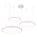 Azzardo AZ5025 - Suspension filaire à intensité variable AGNES LED/120W/230V blanc