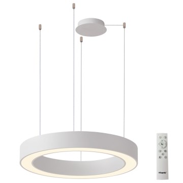 Azzardo AZ5043 - Lampadario a sospensione con filo LED dimmerabile MARCO LED/50W/230V bianco + telecomando