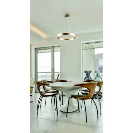 Azzardo AZ5045 - Lampadario a sospensione con filo LED dimmerabile MARCO LED/50W/230V oro + telecomando