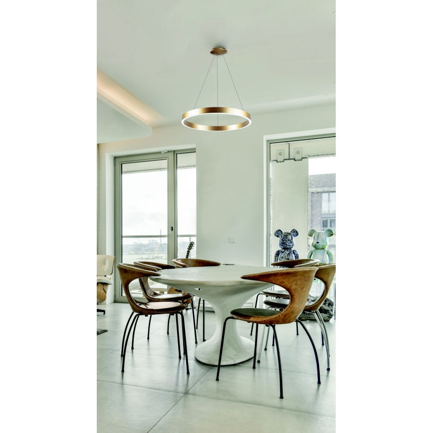 Azzardo AZ5045 - Lampadario a sospensione con filo LED dimmerabile MARCO LED/50W/230V oro + telecomando