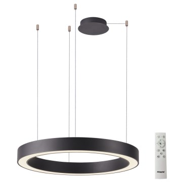 Azzardo AZ5047 - Lampadario a sospensione con filo LED dimmerabile MARCO LED/60W/230V nero + telecomando