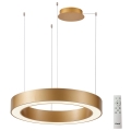 Azzardo AZ5048 - Lampadario a sospensione con filo LED dimmerabile MARCO LED/60W/230V oro + telecomando