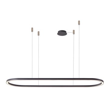 Azzardo AZ5055 - Suspension filaire à intensité variable LED ELENA LED/50W/230V 120 cm noir