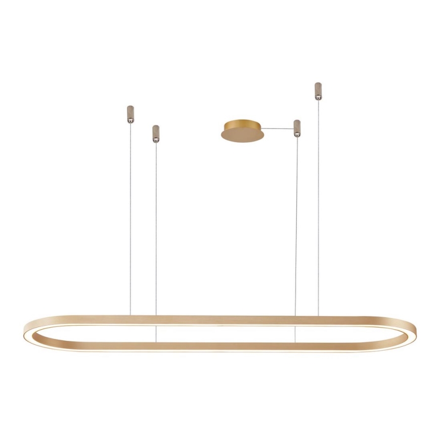 Azzardo AZ5056 - Suspension filaire à intensité variable LED ELENA LED/50W/230V 120 cm doré