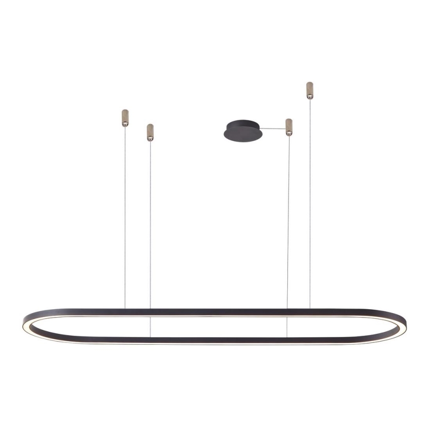 Azzardo AZ5057 - Lampadario a sospensione con filo LED dimmerabile ELENA LED/60W/230V 150 cm nero