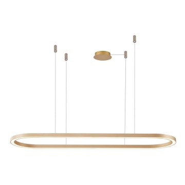 Azzardo AZ5058 - Suspension filaire à intensité variable LED ELENA LED/60W/230V 150 cm doré