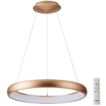 Azzardo AZ5067 - Lampadario a sospensione con filo LED dimmerabile ANTONIO LED/80W/230V oro + telecomando