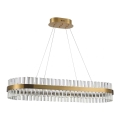 Azzardo AZ5263 - Suspension filaire LED FRANCESCA LED/64W/230V 100 cm