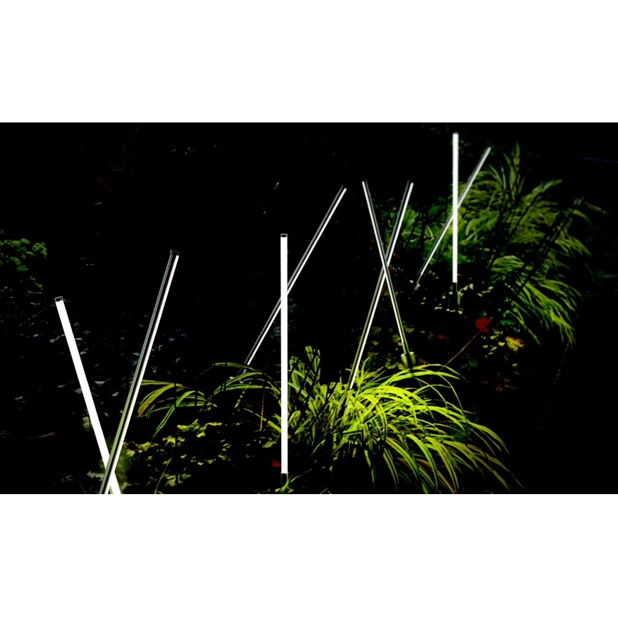 Azzardo AZ5337 - LED-Außenleuchte FREDO LED/6W/230V IP54 58 cm
