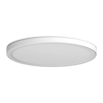 Azzardo AZ5365 - Plafonnier à intensité variable LED salle de bain PANKA LED/24W/230V IP40 blanc