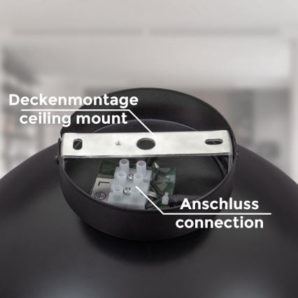 B.K. Licht 1322 - Deckenleuchte 1xE27/60W/230V schwarz/golden