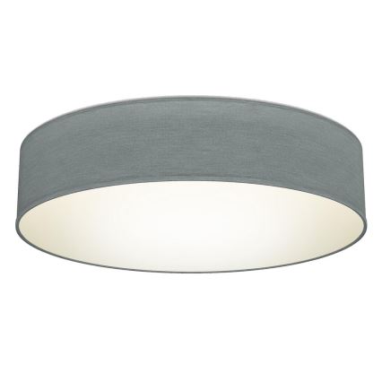 B.K. Licht 1393 - LED Deckenleuchte LED/20W/230V grau