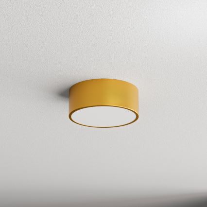 Badezimmer-Deckenleuchte CLEO mit Sensor, 1x E27, 24 W, 230 V, Ø 20 cm, IP54, goldfarben