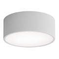 Badezimmer-Deckenleuchte CLEO mit Sensor, 1x E27/24W/230V, Ø 20 cm, IP54, grau