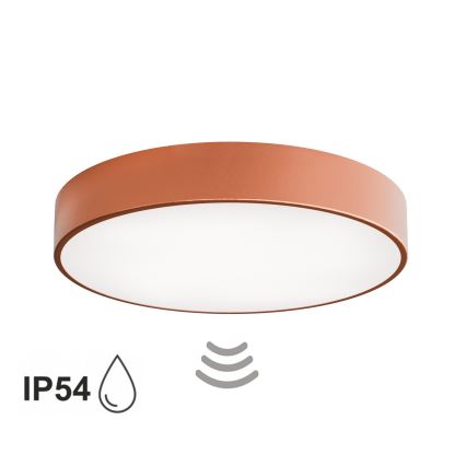 Bad-Deckenleuchte mit Sensor CLEO 4xE27/24W/230V Ø 50 cm IP54 kupferfarben