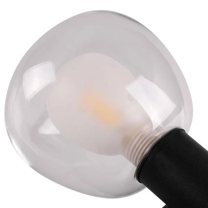 Badezimmer-Wandleuchte POLA 2xG9/5W/230V IP44 schwarz/klar