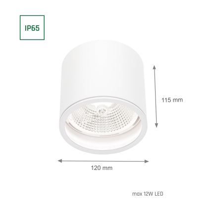 Badezimmerstrahler CHLOE AR111 1xGU10/12W/230V IP65 rund weiß