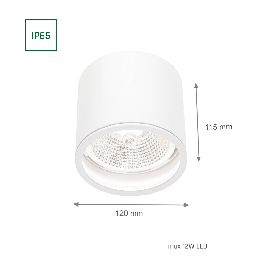 Badezimmerstrahler CHLOE AR111 1xGU10/12W/230V IP65 rund weiß
