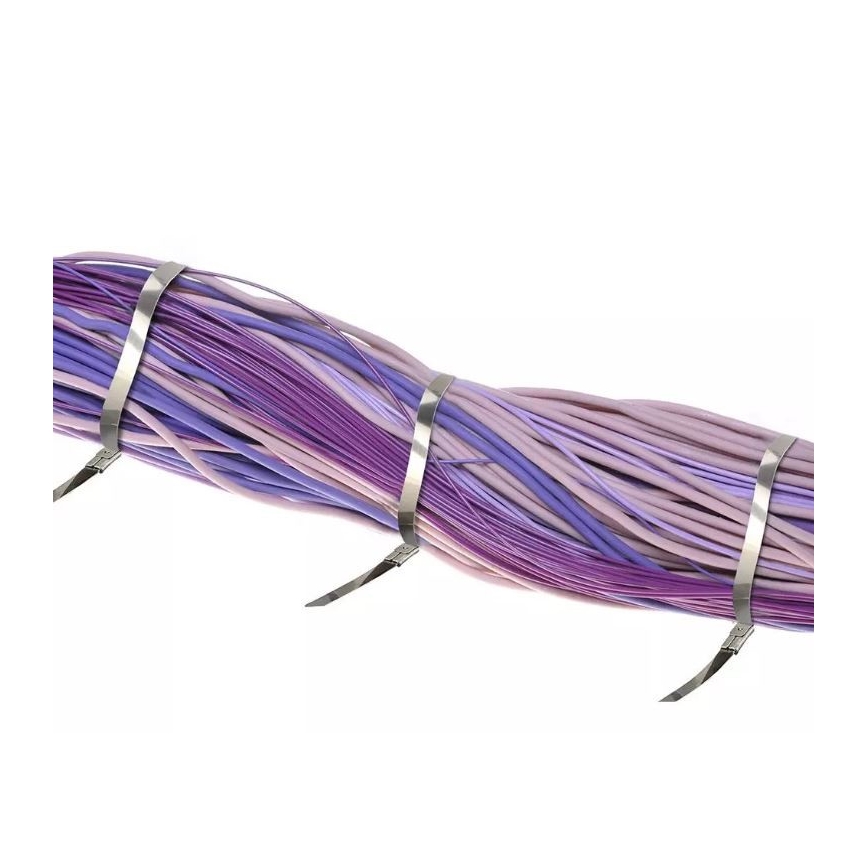 Bandes pliantes en plastique 4,6x250mm 100pcs acier