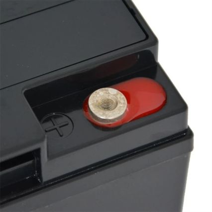 Batteria al piombo sigillata VRLA AGM 12V/20Ah