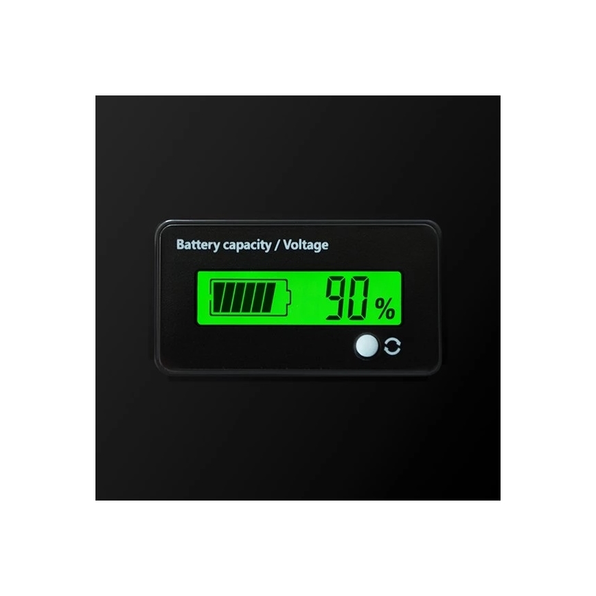 Batteria LiFePO4 con display 12,8 V/100 Ah