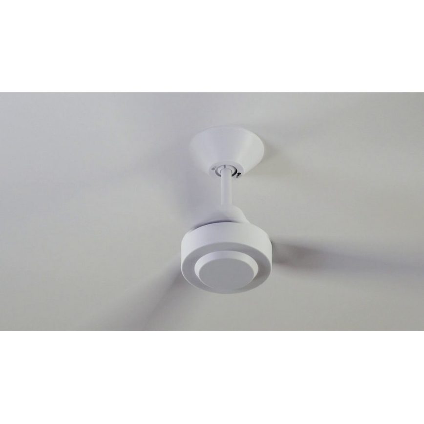 BAYSIDE 213015 - Deckenventilator CALYPSO