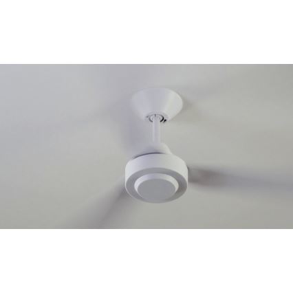 BAYSIDE 213015 - Ventilatore da soffitto CALYPSO