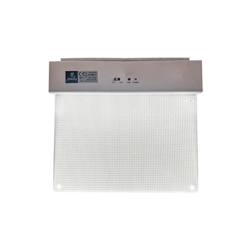 Bloc de secours LED/2W/230V 6000K 300 mAh