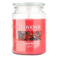 Bougie parfumée SPICED BERRY, 510 g — 85–95 heures de combustion