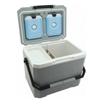 Box frigo con inserto refrigerante 16 l, grigio
