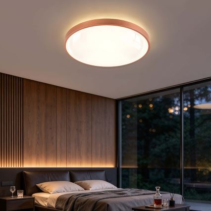 BRILAGI - Plafoniera LED dimmerabile GLASS POOL DOUBLE LED/80W/230V Ø 60 cm finitura rame + telecomando