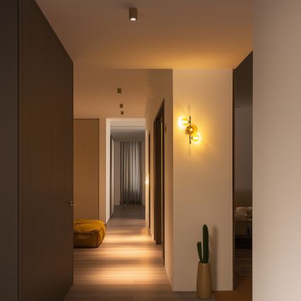 Brilagi - Applique a LED MILLA 3xG9/3W/230V cromo lucido/oro