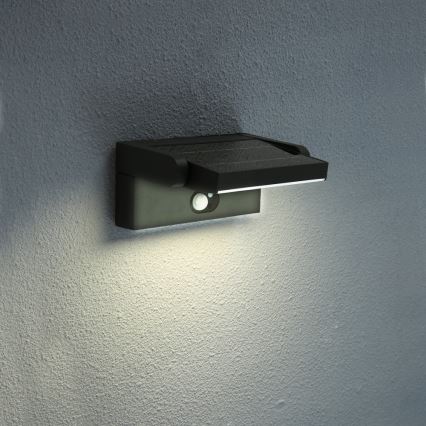 Brilagi - Applique a LED solare con sensore ANKLE LED/3,5W/3,7V IP54