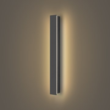 Brilagi - Applique LED da esterno LINEAR, 12W/230V, 3000K, IP65, 50 cm, antracite