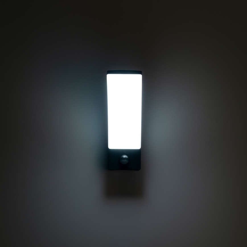 Brilagi - Applique extérieure LED avec détecteur ARCELO LED/9W/230V IP44