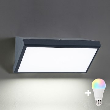 BRILAGI - Applique murale d'extérieur LED RGBW à intensité variable TRIANGLE 1xE27/12W/230V 2700-6500K IP65 anthracite