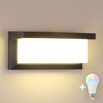 BRILAGI - Applique murale d'extérieur LED RGBW dimmable BRICKY 1xE27/12W/230V 2700-6500K anthracite IP54
