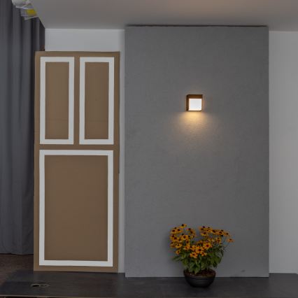 BRILAGI - Applique murale d'extérieur LED TERNI LED/12W/230V brun IP44