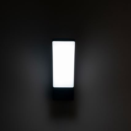 Brilagi - Applique murale extérieure ARCELO LED/9W/230V IP44