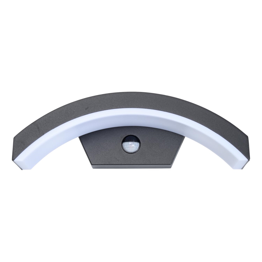 Brilagi - Applique murale extérieure avec détecteur ARCELO LED/8W/230V IP54