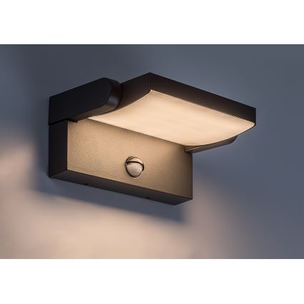 BRILAGI - Applique murale LED d'extérieur avec détecteur de mouvement et capteur crépusculaire ANKLE LED/12W/230V IP65 noire