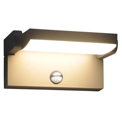 BRILAGI - Applique murale LED d'extérieur avec détecteur de mouvement et capteur crépusculaire ANKLE LED/12W/230V IP65 noire