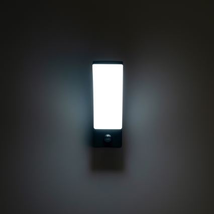 BRILAGI - Applique murale extérieure LED avec détecteur de mouvement et capteur crépusculaire ARCELO LED/12W/230V IP65 noire