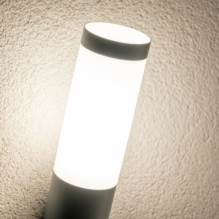 BRILAGI - Applique murale LED d'extérieur ELIA 1x E27/7 W/230 V 4000 K IP44 anthracite