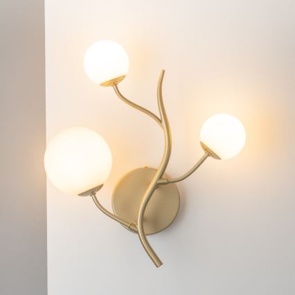 Brilagi - Applique murale LED MISTEL 3xG9/3W/230V doré/blanc