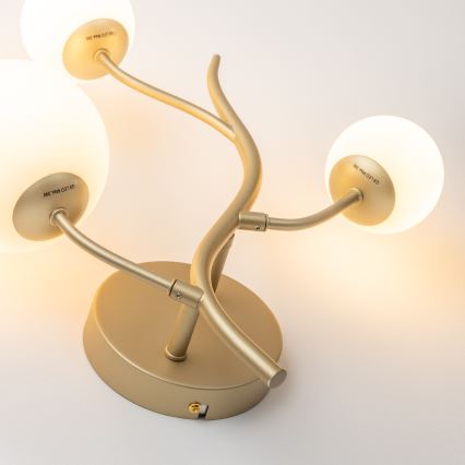 Brilagi - Applique murale LED MISTEL 3xG9/3W/230V doré/blanc