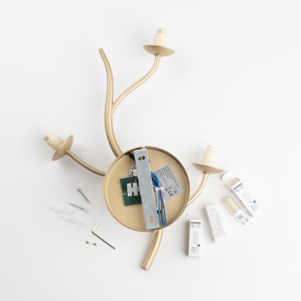 Brilagi - Applique murale LED MISTEL 3xG9/3W/230V doré/blanc