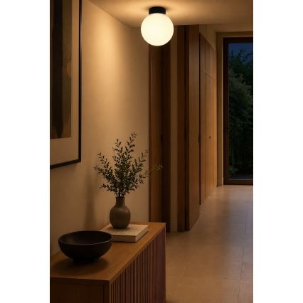 BRILAGI - Applique murale POLOS 1xE27/40W/230V Ø 20 cm noire