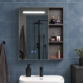 BRILAGI - Armoire-miroir LED pour salle de bains TRABIA SINGLE 60x70 cm avec éclairage intégré