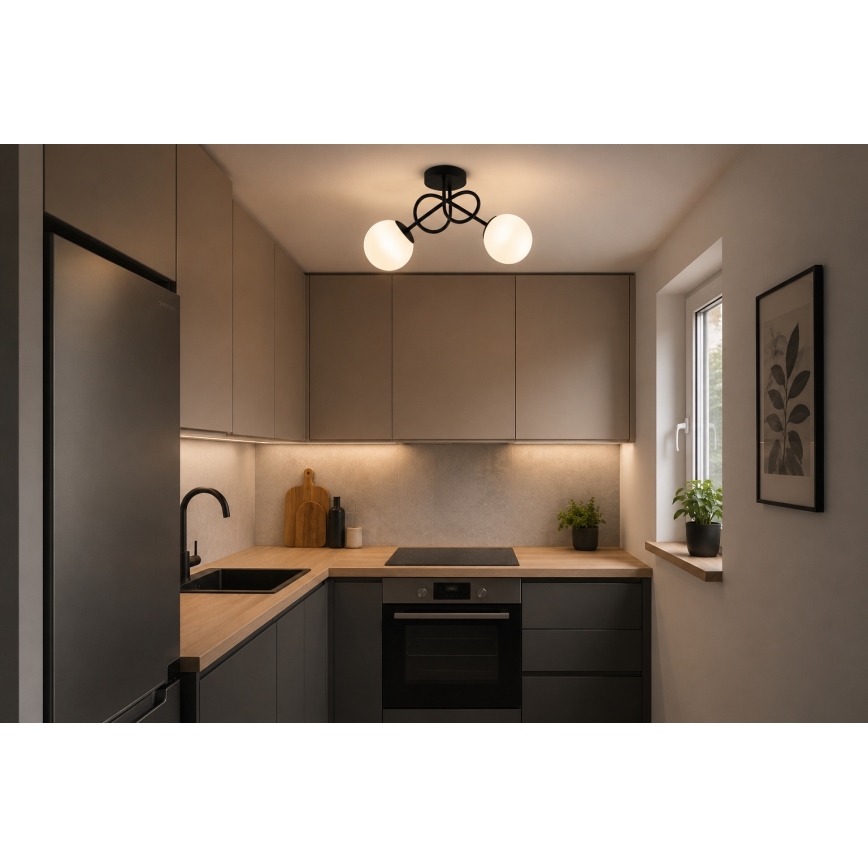 Brilagi - Aufgesetzte Deckenleuchte MILO 2xE27/60W/230V schwarz